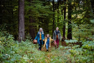 A small girl with mother and grandmother holding hands on walk outoors in forest.