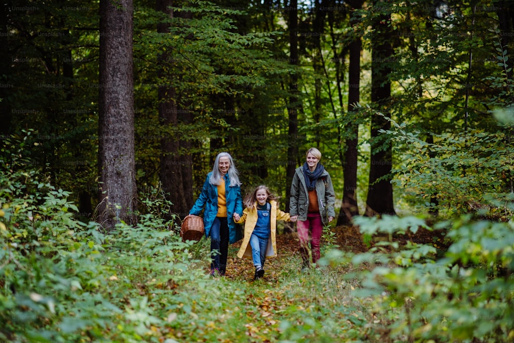 A small girl with mother and grandmother holding hands on walk outoors in forest.