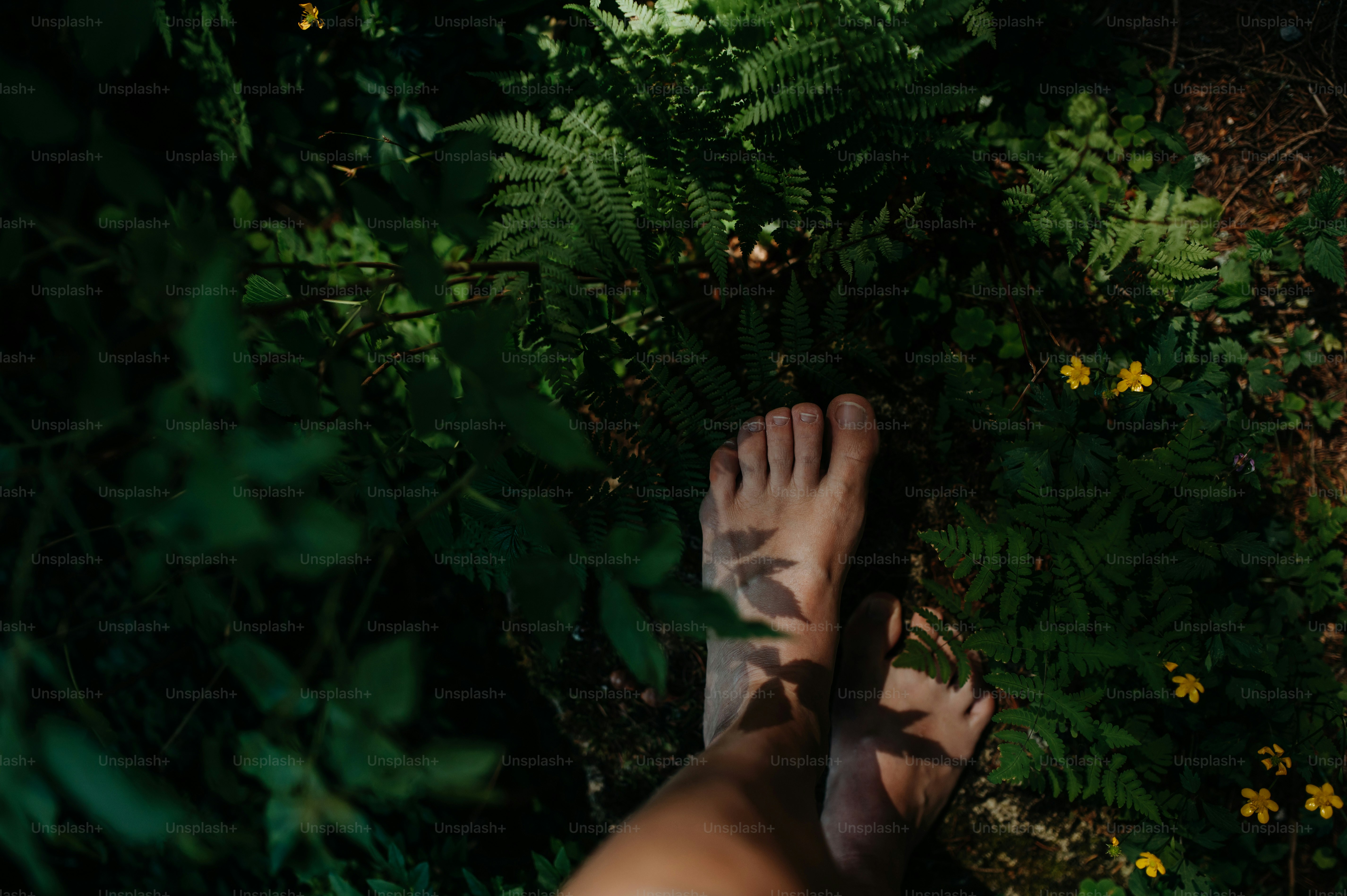 Piedi nudi di una donna in piedi a piedi nudi all'aperto nella natura, concetto di messa a terra.