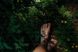 Bare feet of a woman standing barefoot outdoors in nature, grounding concept.