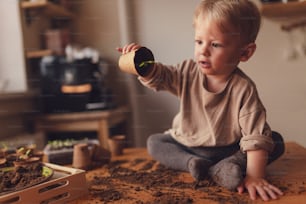 A mess and dirt on a table while little boy is playing with potted seedlings at home.