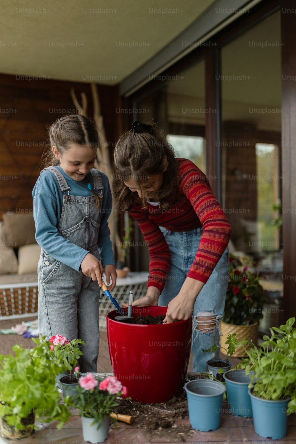 Two little sisters planting flowers together, a home gardening concept.
