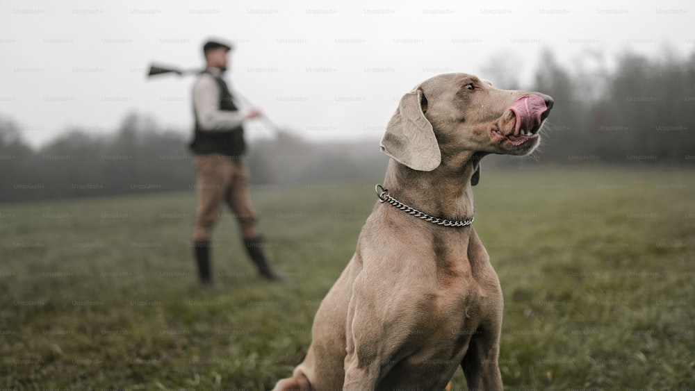 Un cazador con perro en ropa de tiro tradicional en el campo sosteniendo una escopeta.
