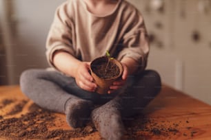 Un primo piano del bambino che tiene il vaso con la pianta che cresce dai semi a casa, giardinaggio domestico.