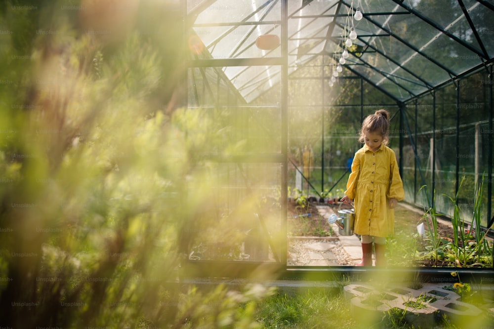 エコ温室で植物に水をやるときに植物の世話をする小さな女の子は、ガーデニングを学びます。