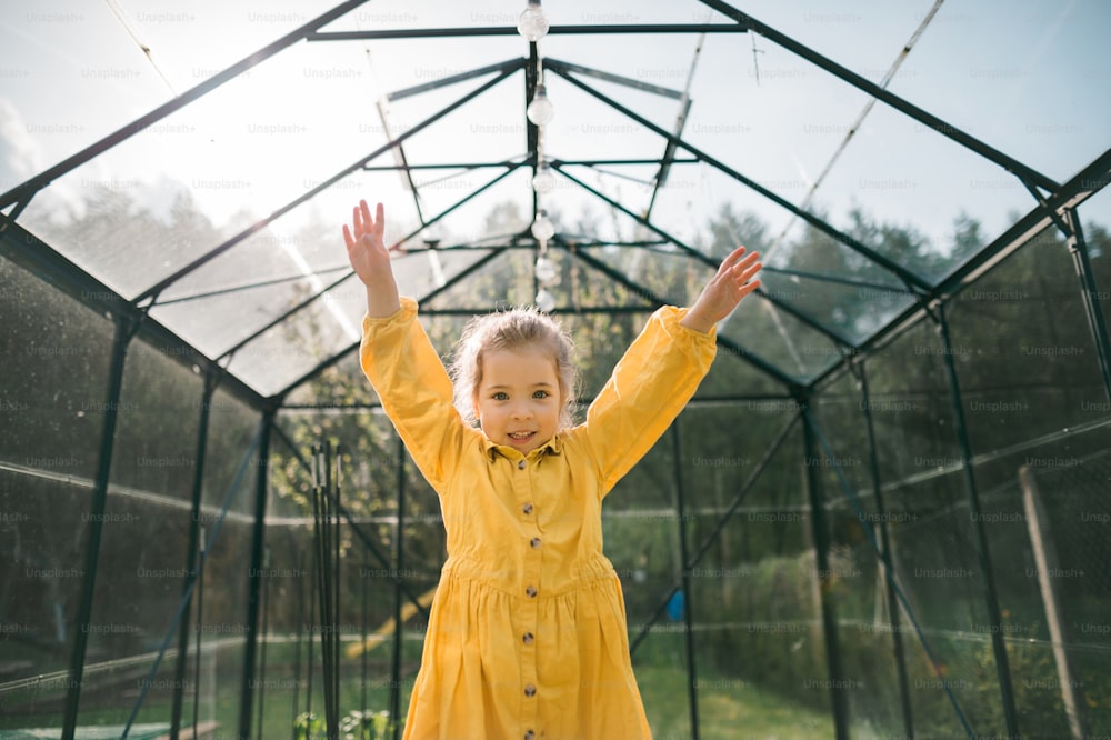 Uma garotinha feliz de pé com as mãos levantadas na estufa ecológica e olhando para a câmera.