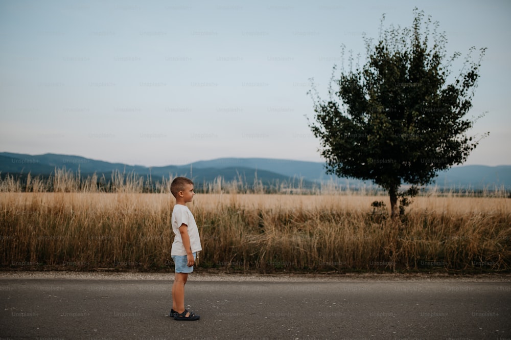 Um menino está de pé no campo de trigo no verão