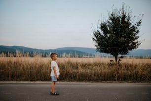 A little boy is standing in the field of wheat in summer