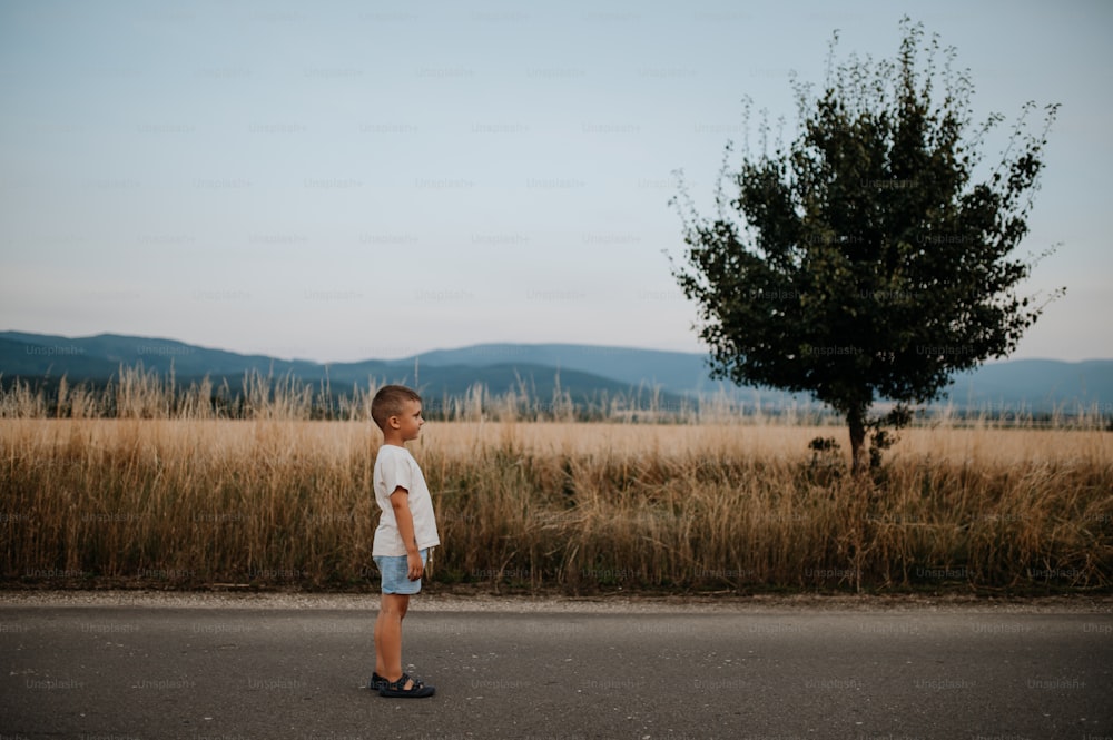A little boy is standing in the field of wheat in summer