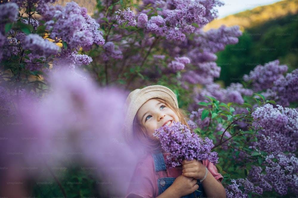 Um retrato de uma garotinha alegre na natureza florescendo prado lilás-púrpura.
