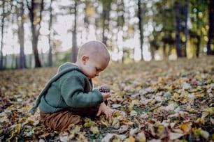 Un petit garçon assis dans des feuilles sèches dans la nature, concept d’automne