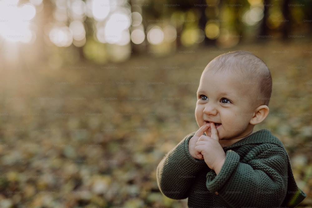 A portrait of cute little boy wearing knitted hoodie in nautre, autumn concept.