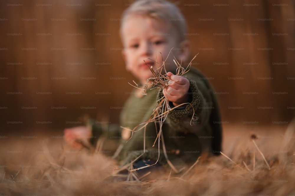 Ein Herbstporträt eines glücklichen kleinen Jungen im Strickpullover, der im trockenen Gras in der Natur sitzt und spielt.