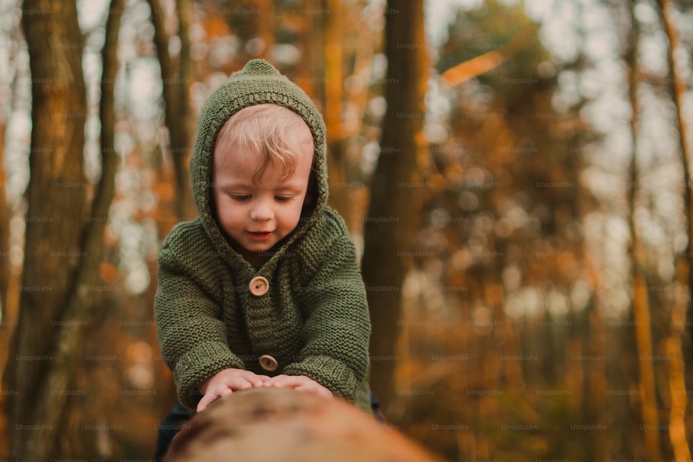 Ein kleiner neugieriger Junge auf einem Spaziergang in der Natur, der im Baumstumpf sitzt.