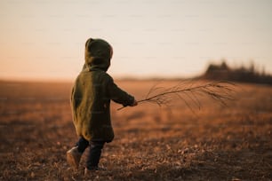 A rear view of little boy in knitted sweater on walk in autumn nature.