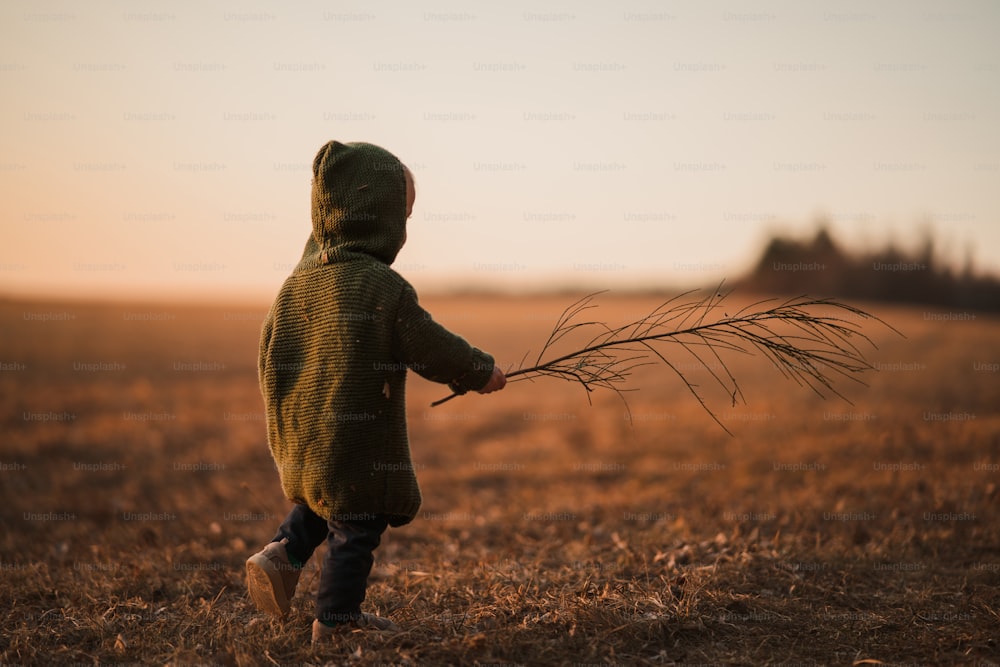 Una vista trasera de un niño pequeño con suéter de punto caminando en la naturaleza otoñal.
