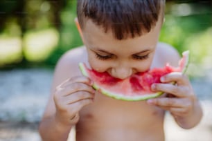 A little boy eating watermelon in garden on hot summer day.