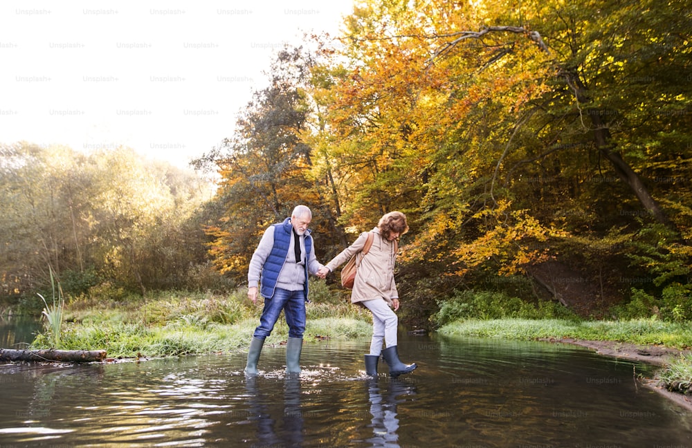 아름다운 가을 자연 속에서 산책하는 활동적인 노부부. 이른 아침 호숫가에 있는 여자와 남자.