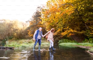 Aktives Seniorenpaar bei einem Spaziergang in einer wunderschönen Herbstnatur. Eine Frau und ein Mann am See am frühen Morgen.