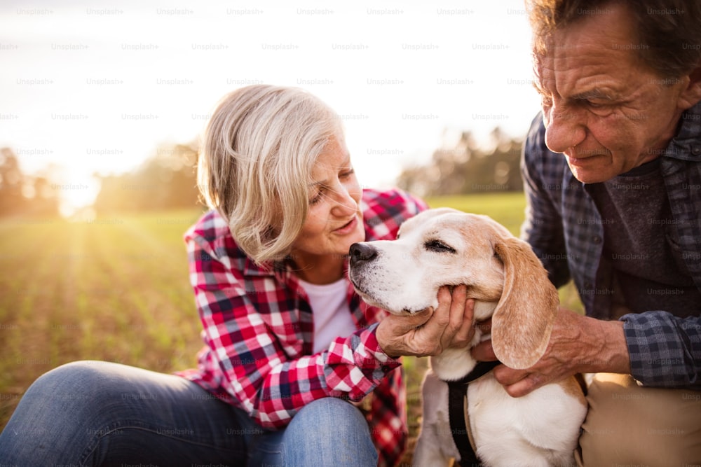 Active senior couple with dog on a walk in a beautiful autumn nature. Close up.