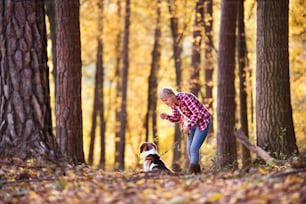 Active senior woman with dog on a walk in a beautiful autumn forest.