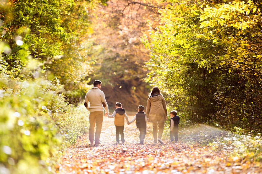 Schöne junge Familie auf einem Spaziergang im Wald. Mutter und Vater mit ihren drei Söhnen in warmen Kleidern draußen in bunter herbstlicher Natur. Rückansicht.