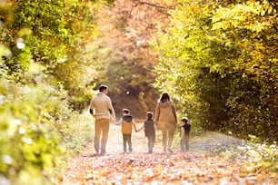 Beautiful young family on a walk in forest. Mother and father with their three sons in warm clothes outside in colorful autumn nature. Rear view.