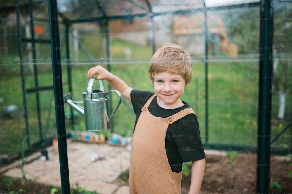 Fröhlicher kleiner Junge, der sich um Pfefferpflanzen kümmert, wenn er sie im Öko-Gewächshaus gießt, lernt Gartenarbeit. Blick in die Kamera.