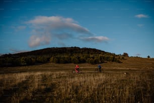 Una vista lateral de una pareja de ancianos activos montando bicicletas al aire libre en el bosque en un día de otoño.