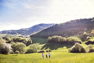 Cheerful senior couple with granddaughter outside in spring nature, walking. Copy space.