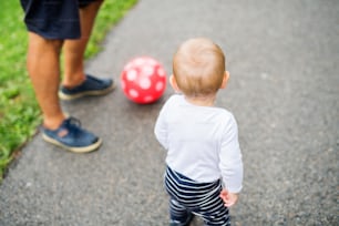 Cute little boy making first steps in nature, playing with a ball. Summer time. Rear view.