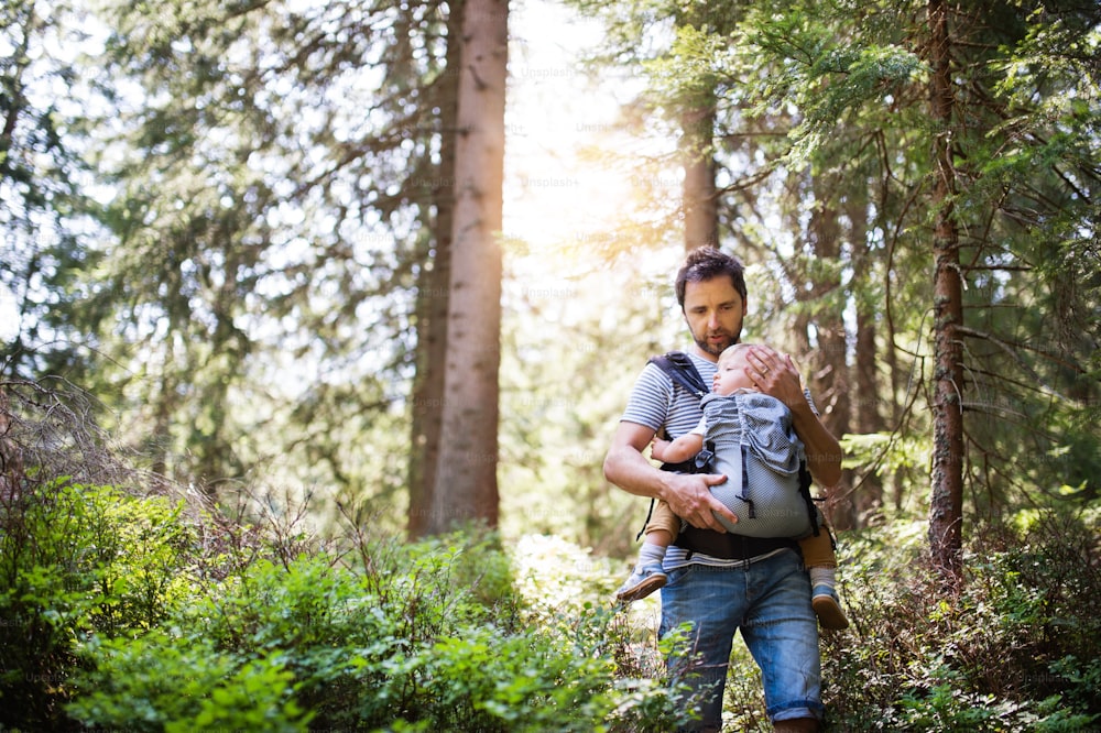 Pai jovem com menino pequeno em uma transportadora andando em uma floresta, dia de verão.