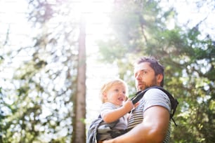 Young father with little boy in a carrier walking in a forest, summer day.