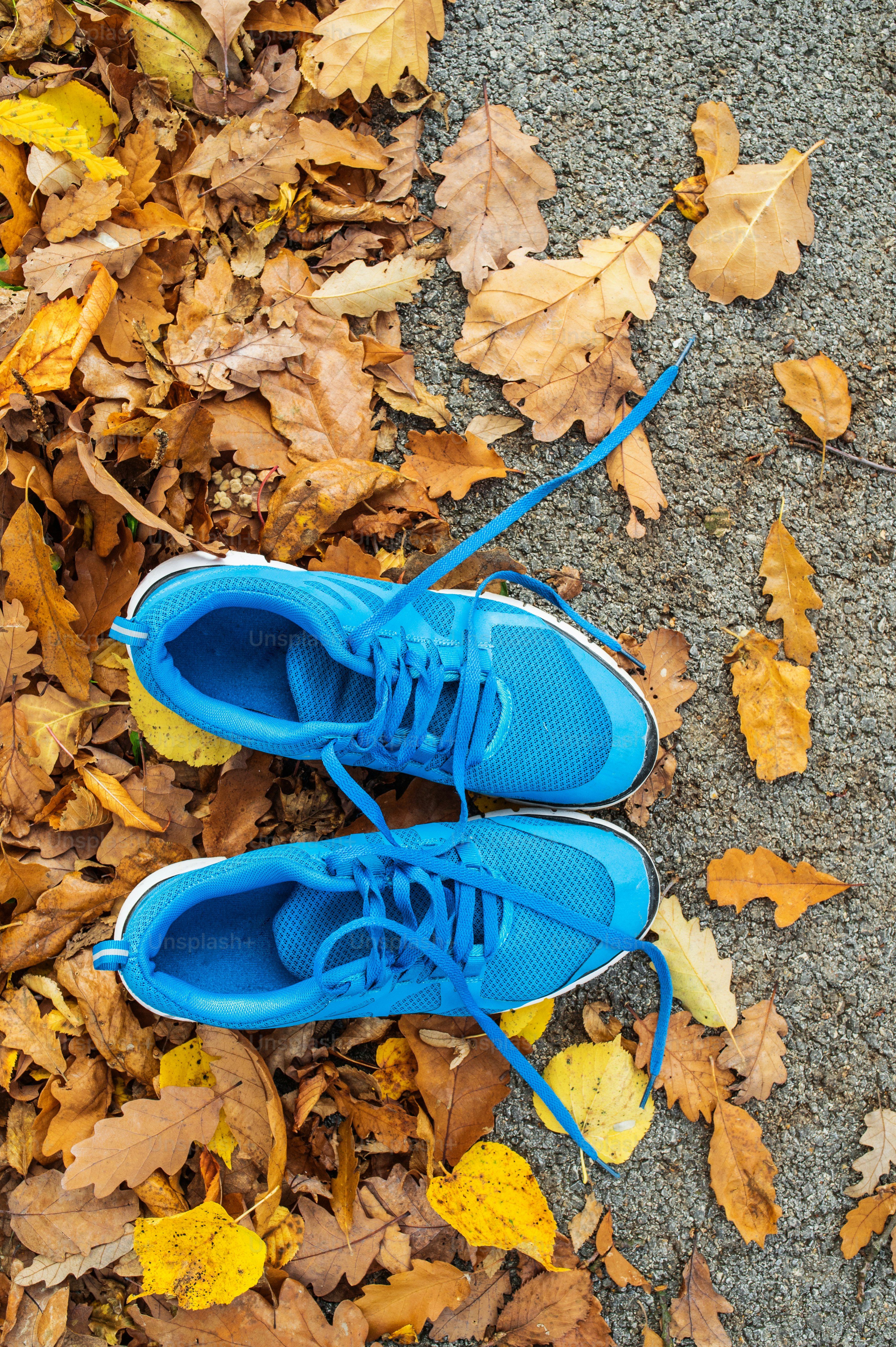 Blue trainers on colorful leaves on the ground. Autumn nature. Top view.