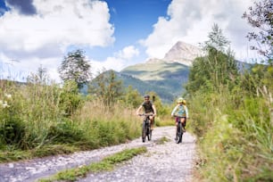 여름 자연에서 야외에서 자전거를 타는 어린 아이들과 함께 행복한 가족, 슬로바키아의 하이 타트라스.
