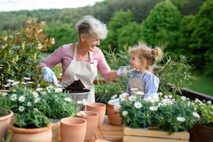 Happy senior grandmother with small granddaughter gardening on balcony in summer.