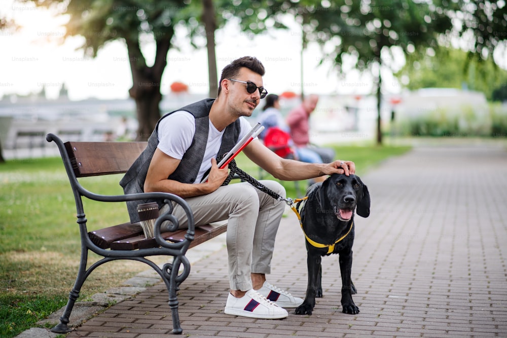 Giovane cieco con bastone bianco e cane guida seduto sulla panchina nel parco in città, riposando.