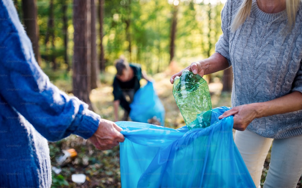 森の屋外でゴミを拾う年配の女性の友人のグループ、クロギングのコンセプト。