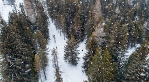 Vista aérea de ciclistas de montanha andando na estrada coberta por neve na floresta ao ar livre no inverno.