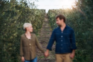 Jovem casal caminhando ao ar livre em pomar de oliveiras, olhando um para o outro e de mãos dadas.