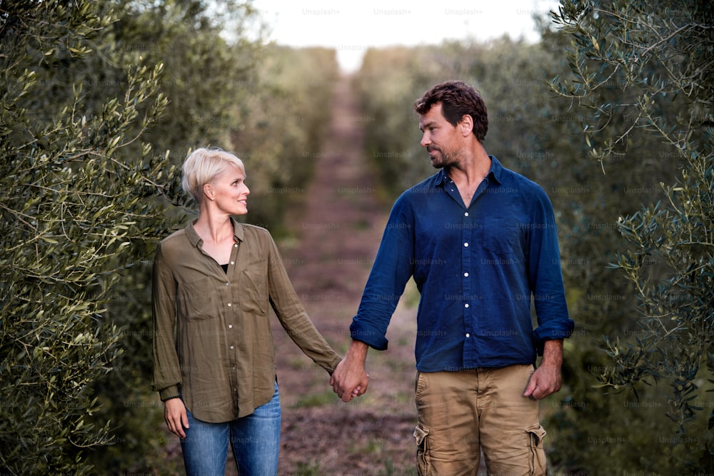 Young couple walking outdoors in olive orchard, looking at each other and holding hands.