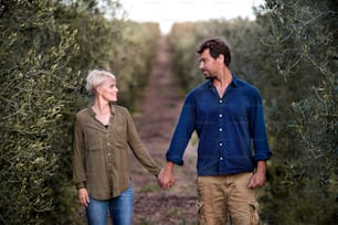 Young couple walking outdoors in olive orchard, looking at each other and holding hands.