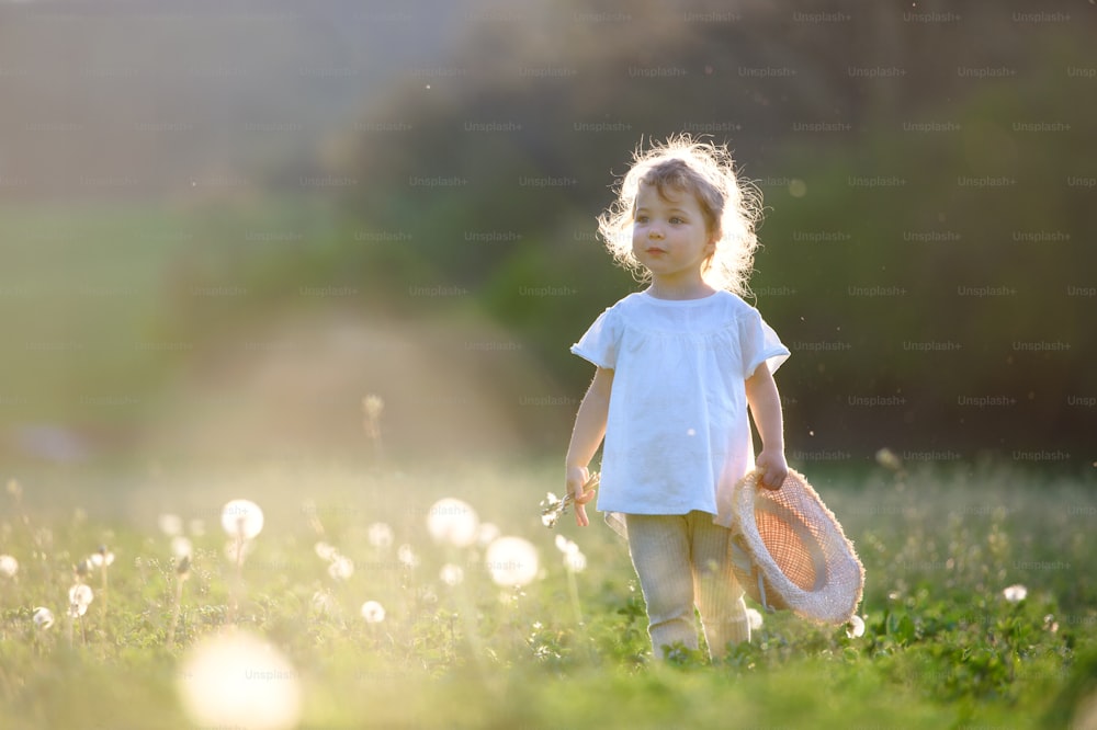 Ritratto di piccola bambina che cammina sul prato all'aperto in estate. Copia spazio.