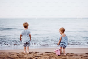 Rear view of two toddler children standing and playing on sand beach on summer family holiday.