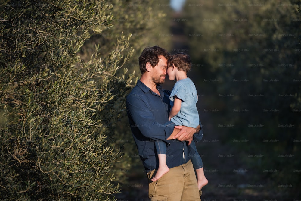 Portrait of father holding small daughter, standing outdoors by olive tree.