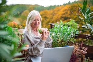 Senior woman with laptop sitting outdoors on terrace, eating healthy lunch.