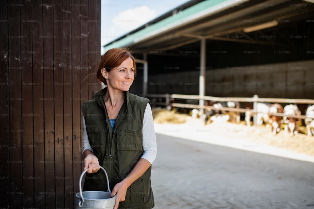 Eine Arbeiterin mit Dosen, die auf der Milchfarm in der Landwirtschaft arbeitet.