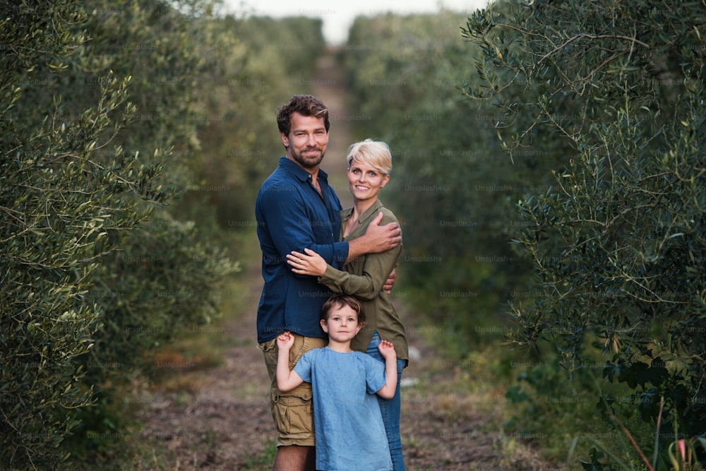 A portrait of young family with two small daughter standing outdoors in olive tree orchard.