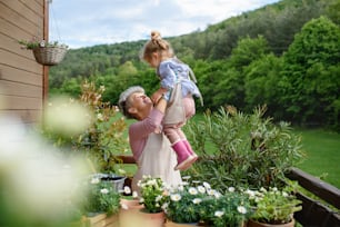 Happy senior grandmother with small granddaughter gardening on balcony in summer, having fun.