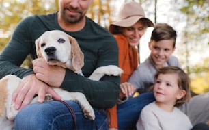 Porträt der Familie mit kleinen Kindern und Hund auf einem Spaziergang im Herbstwald.